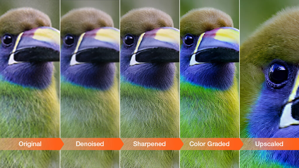 Best AI photo enhancers