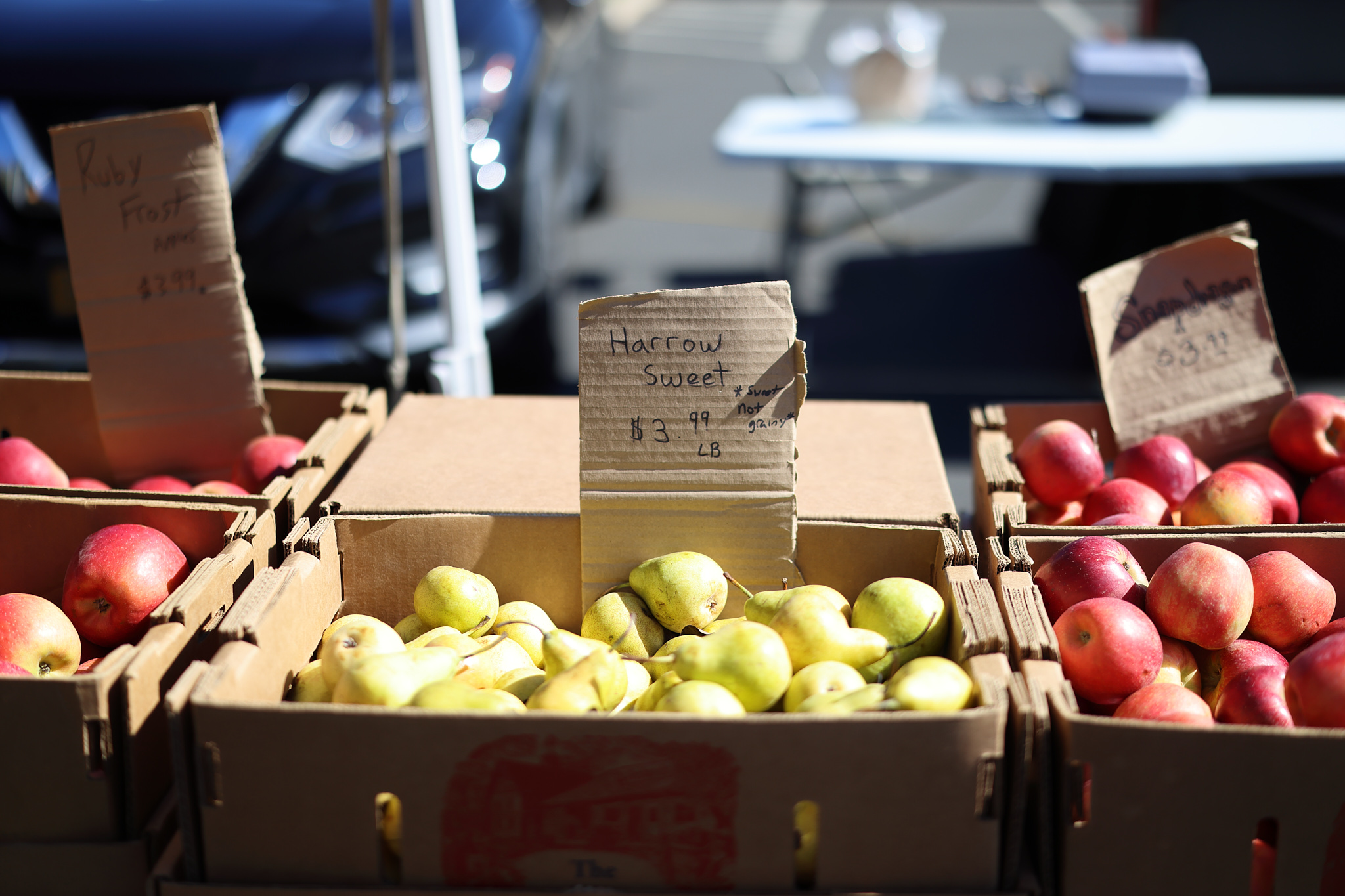 Harrow Sweet Pears