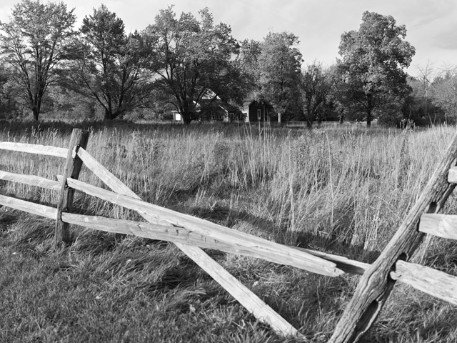 Hasselblad X2D 100C Review: Field Test -- Gallery Image